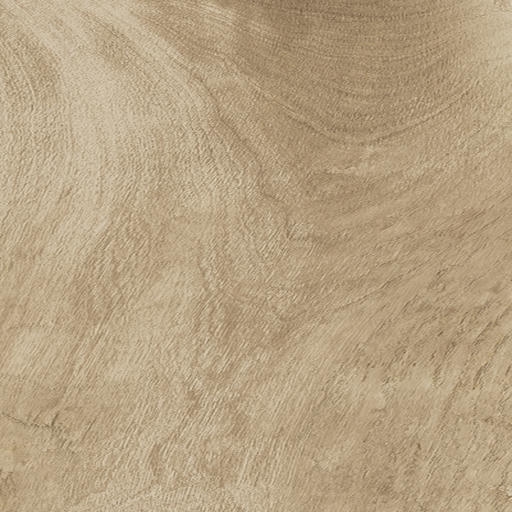 Alpine - Image 4