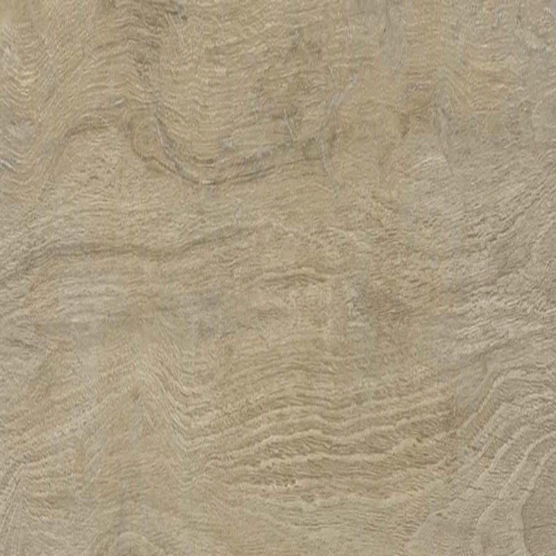 Laguna - Image 10
